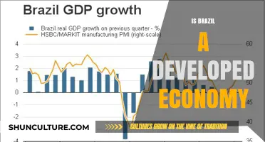 Exploring Brazil's Economic Status: Developed or Developing?