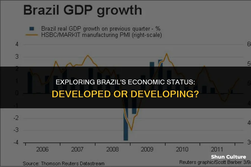 is brazil a developed economy