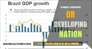 Brazil's Economic Status: Developed or Developing Nation?