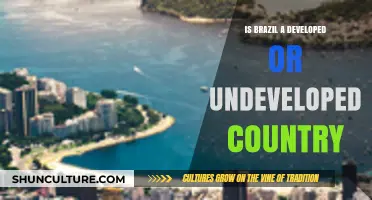 Brazil's Development Status: Developed or Undeveloped Nation?