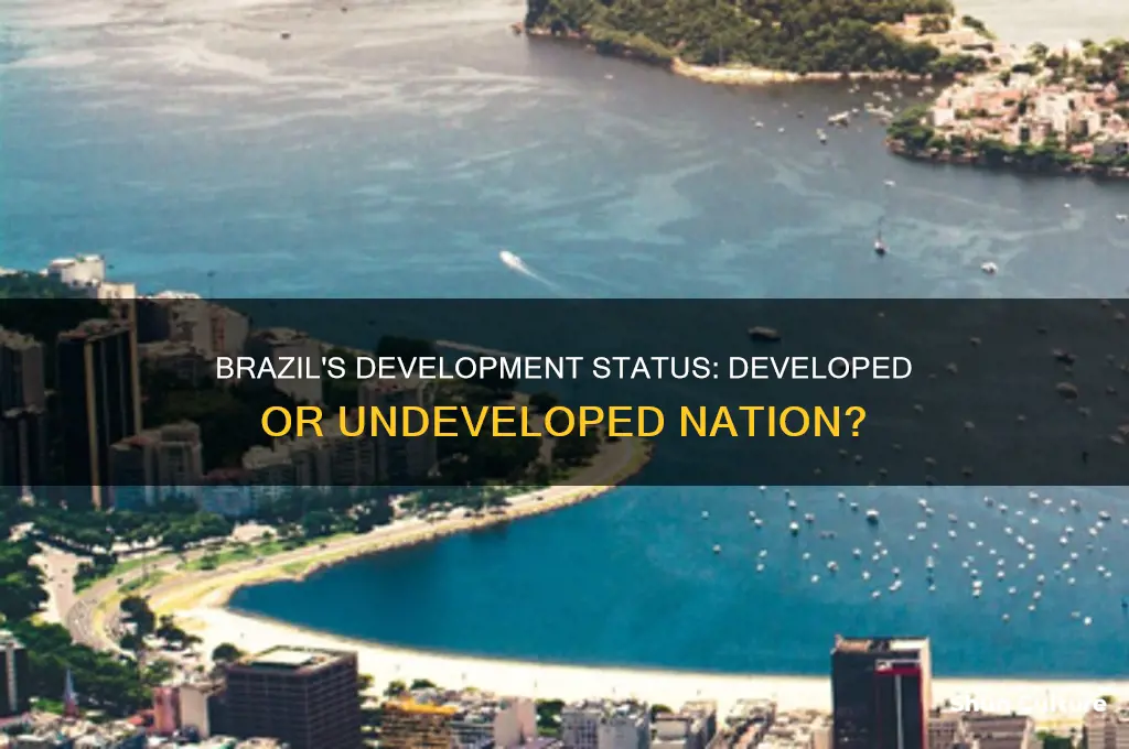 is brazil a developed or undeveloped country