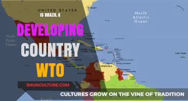 Is Brazil a Developing Country? WTO Classification Explained
