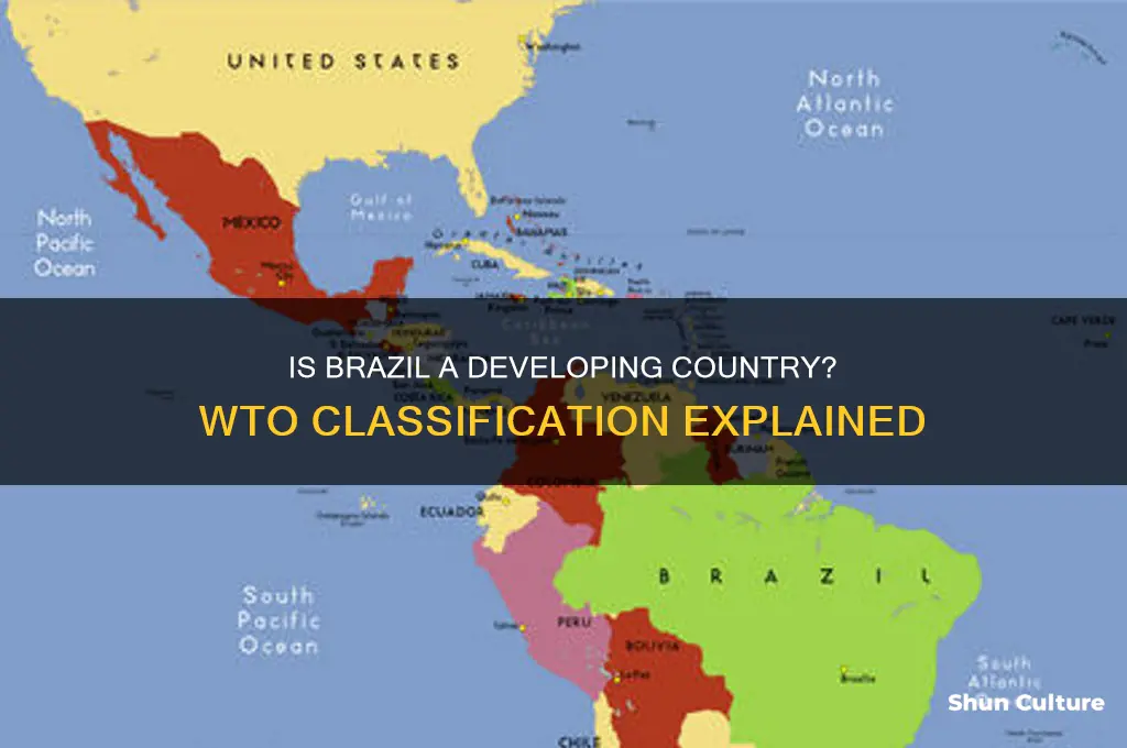 is brazil a developing country wto