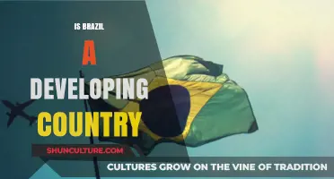 Is Brazil Still Developing? Exploring Its Economic and Social Progress