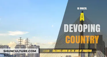 Is Brazil Still Developing? Exploring Its Economic and Social Progress