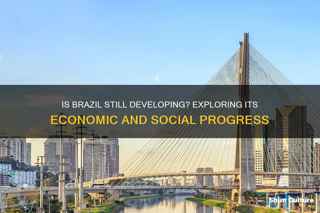 is brazil a devoping country