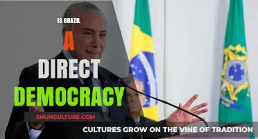 Exploring Brazil's Democracy: Direct or Representative?