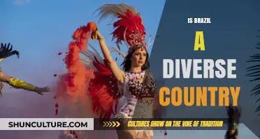 Brazil's Cultural Mosaic: Exploring Diversity in Ethnicity, Language, and Traditions