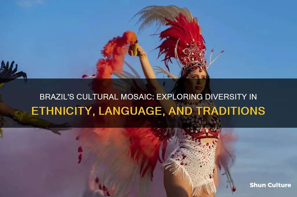 is brazil a diverse country