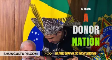 Exploring Brazil's Role as a Donor Nation: A Comprehensive Analysis