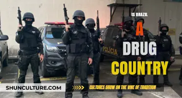 Brazil's Drug Trade: Myth vs. Reality – A Comprehensive Analysis