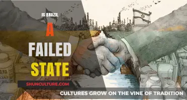 Examining Brazil's Statehood: A Critical Analysis of Its Challenges