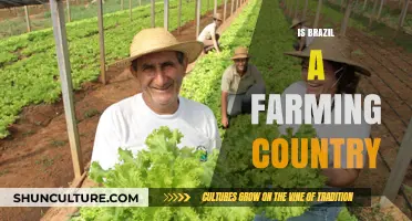Is Brazil a Farming Country? Exploring Its Agricultural Dominance