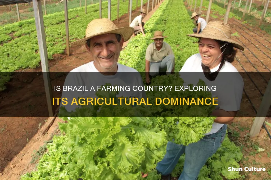 is brazil a farming country