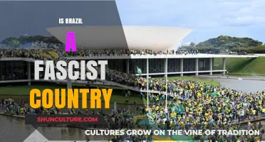 Is Brazil Fascist? Analyzing Political Trends and Societal Shifts