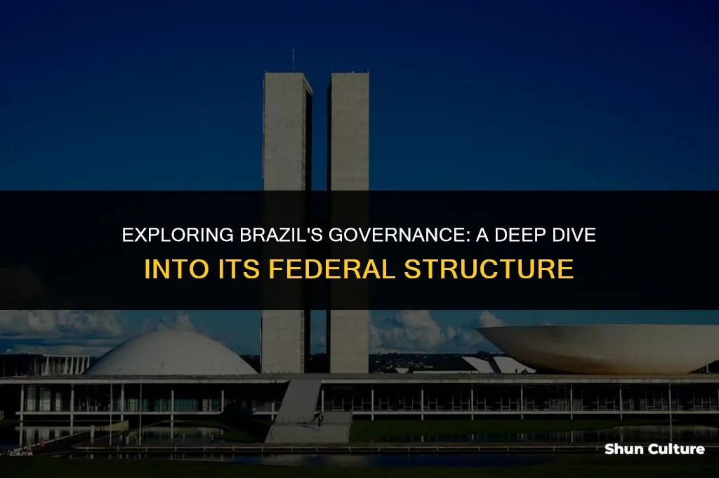 is brazil a federal government