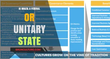 Exploring Brazil's Governance: Federal or Unitary State?