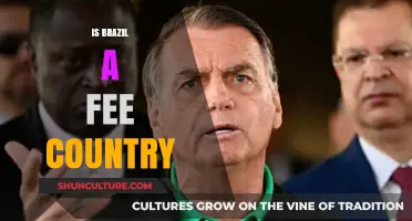 Is Brazil a Free Country? Exploring Democracy, Rights, and Challenges