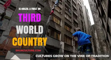 Brazil's Global Standing: First or Third World Nation?