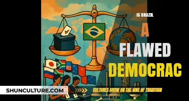 Examining Brazil's Democracy: Flawed or Functioning?