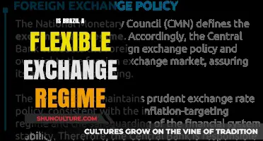 Exploring Brazil's Economic Flexibility: A Deep Dive into Its Exchange Regime