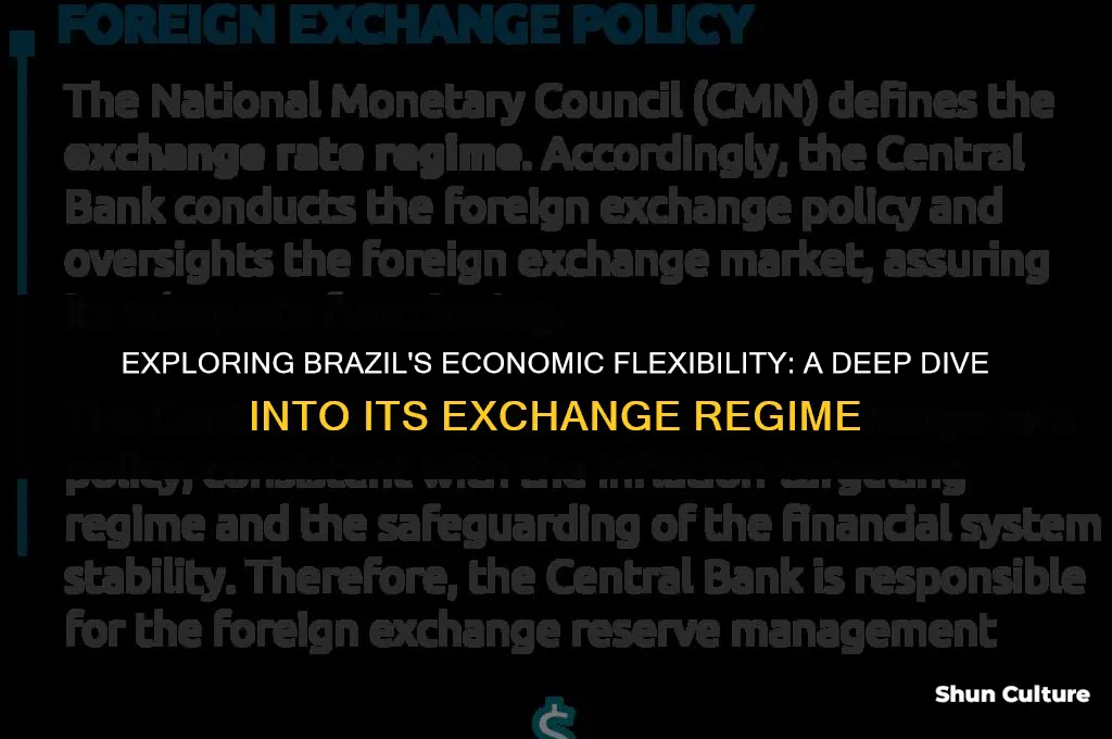is brazil a flexible exchange regime