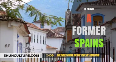 Exploring Brazil's Colonial Past: A Former Spanish Territory?