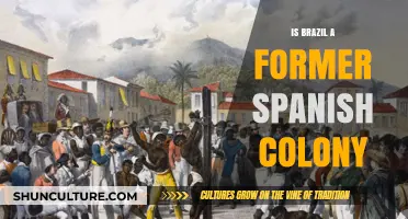 Unraveling History: Brazil's Colonial Past - Spanish or Portuguese?