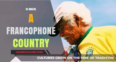 Is Brazil Francophone? Unraveling Language Myths About Brazil's Culture