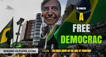 Exploring Brazil's Democratic Landscape: Freedoms and Challenges