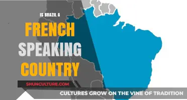 Is Brazil French-Speaking? Unraveling the Language Myth and Facts