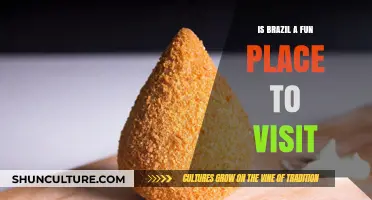 Exploring Brazil: A Vibrant Journey Through Carnival and Cuisine