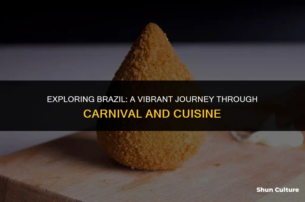 is brazil a fun place to visit