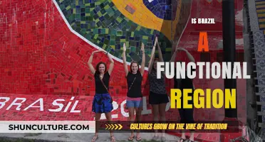 Exploring Brazil's Regional Functionality: A Comprehensive Analysis