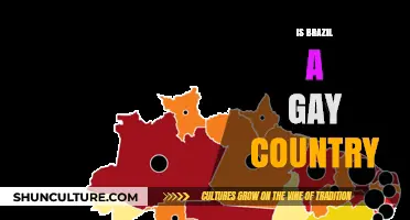 Exploring Brazil's LGBTQ+ Culture: A Gay-Friendly Nation?