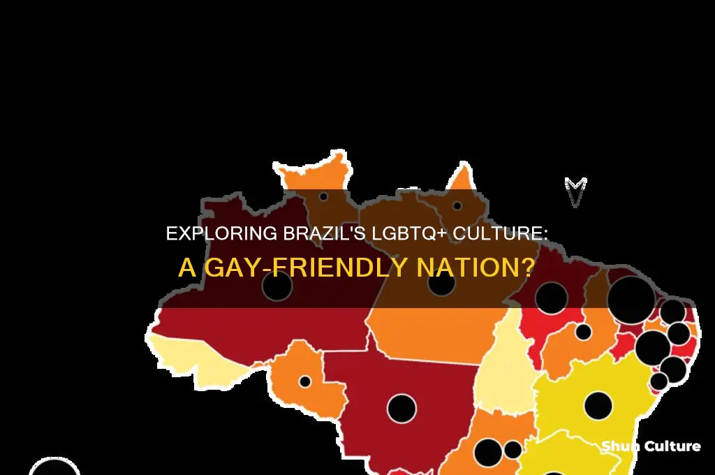 is brazil a gay country