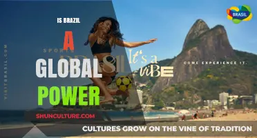 Brazil's Global Influence: A Rising Power on the World Stage