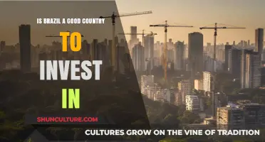 Brazil's Investment Potential: Opportunities, Risks, and Economic Outlook