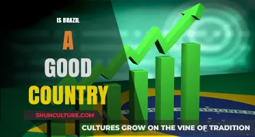 Exploring Brazil's Culture, Economy, and Quality of Life: Is It a Good Country?