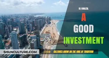 Exploring Brazil's Investment Potential: Opportunities and Challenges