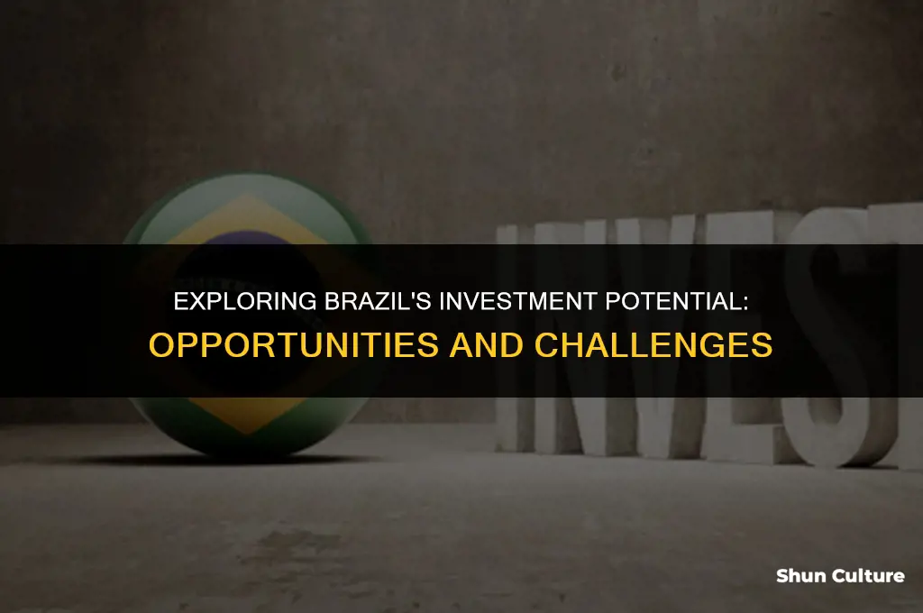 is brazil a good investment