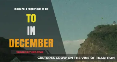 Exploring Brazil in December: A Traveler's Guide to Summer Fun