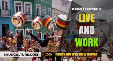 Exploring Brazil: A Comprehensive Guide to Living and Working There