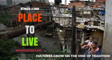 Exploring Brazil: Quality of Life, Culture, and Living Conditions
