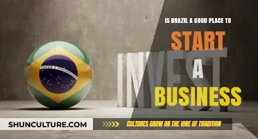 Exploring Entrepreneurial Opportunities: Is Brazil a Good Place to Start a Business?