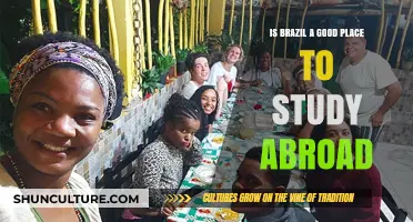 Exploring Academic Horizons: Is Brazil Your Ideal Study Abroad Destination?