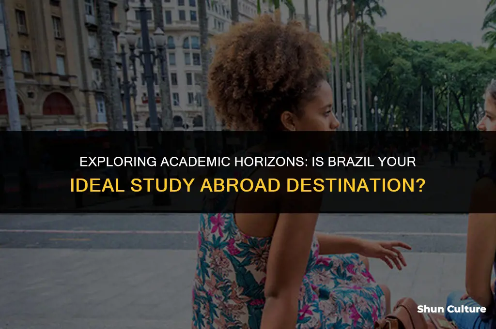 is brazil a good place to study abroad