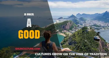Exploring Brazil: A Comprehensive Guide to Its Wonders and Challenges