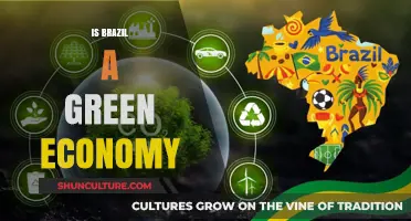 Exploring Brazil's Eco-Friendly Initiatives: A Green Economy Analysis