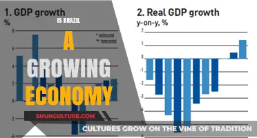 Brazil's Economic Growth: Opportunities and Challenges Ahead